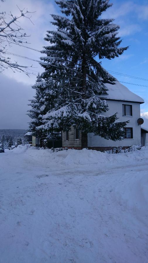 Haus Hasenmueller Leilighet Schmiedefeld am Rennsteig Eksteriør bilde